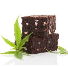 cannabis-brownies