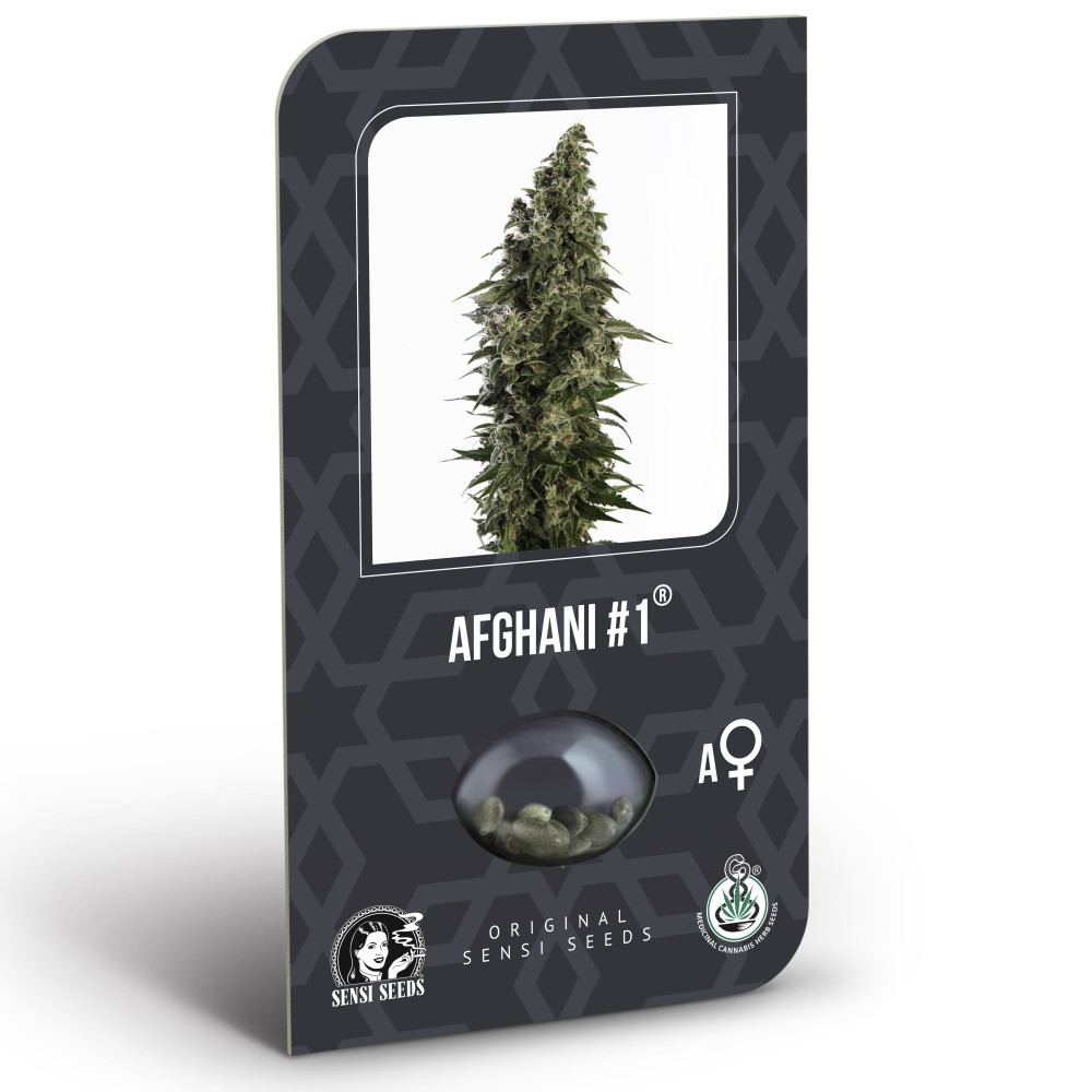 Afghani #1 Feminisiert (auto) (Classic Redux Serie) - 10 Samen