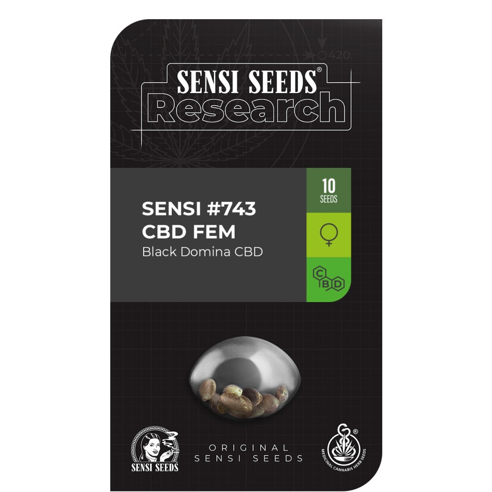 Black Domina CBD feminisiert (Research Serie) - 10 Samen