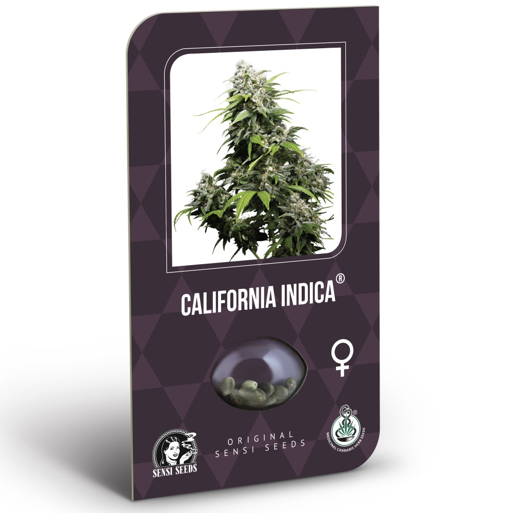 California Indica Feminisiert (Classic Redux Serie) - 3 Samen