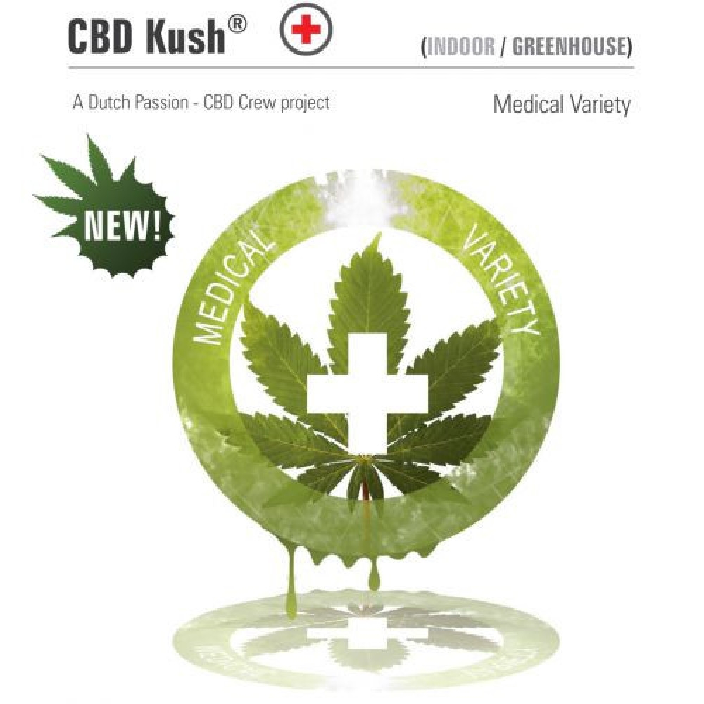 CBD Kush Feminisiert - 5 Samen