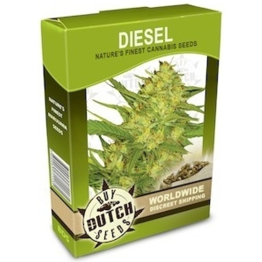 Diesel - 10 Samen