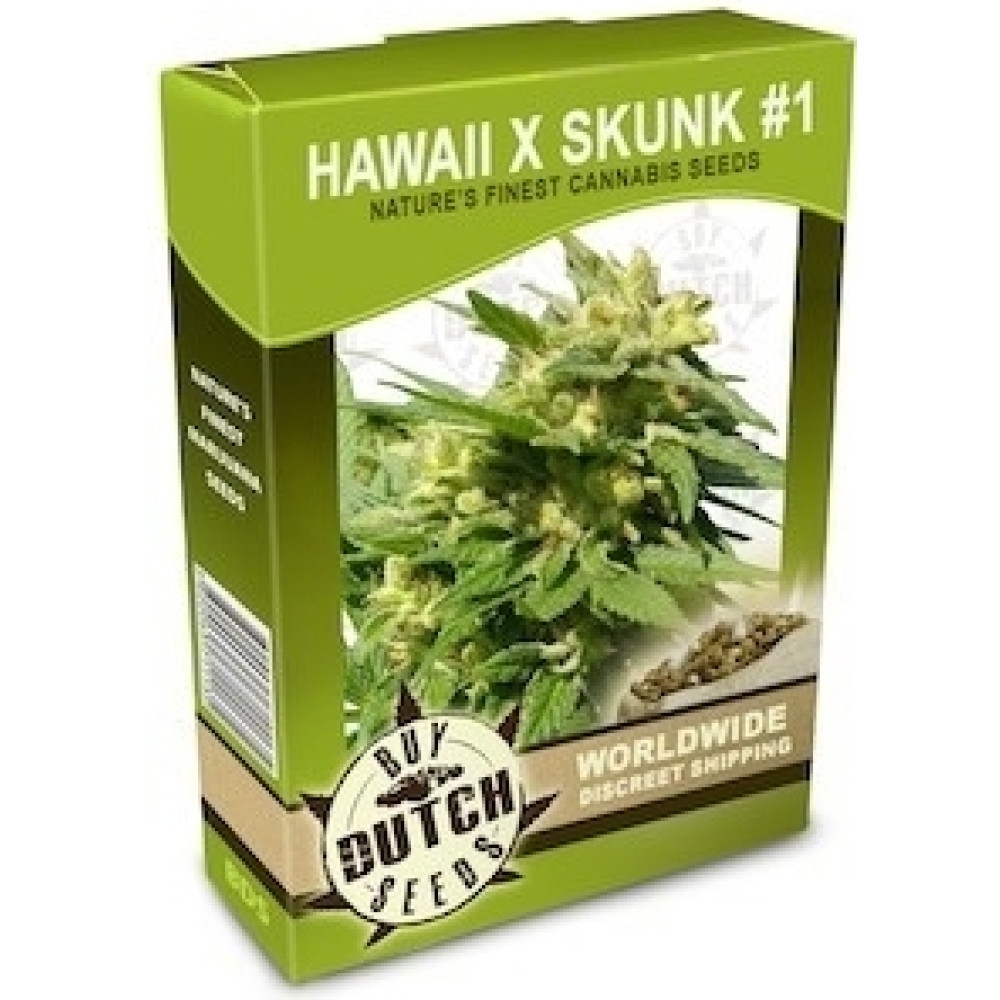 Hawaii x Skunk 1 - 10 Samen