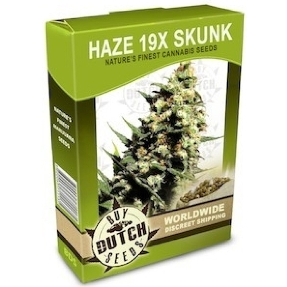 Haze 19x Skunk - 10 Samen