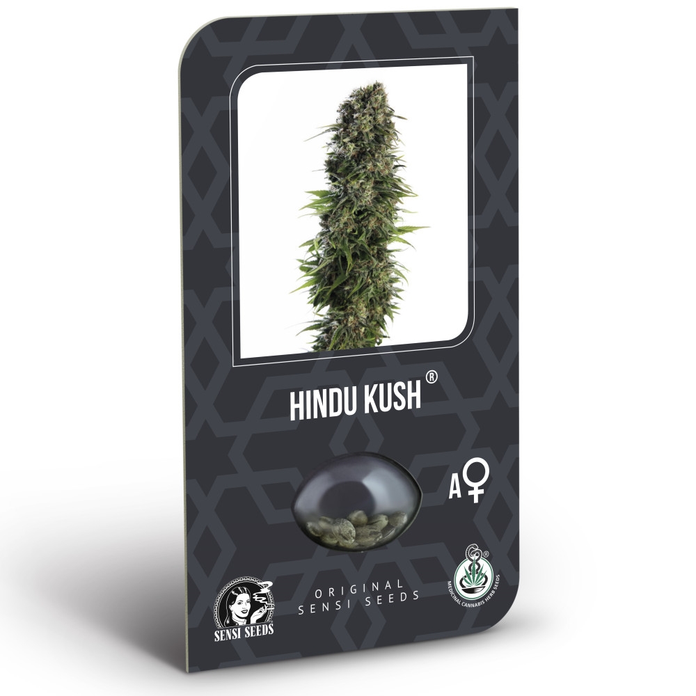 Hindu Kush Feminisiert (auto) (Classic Redux Serie) - 10 Samen