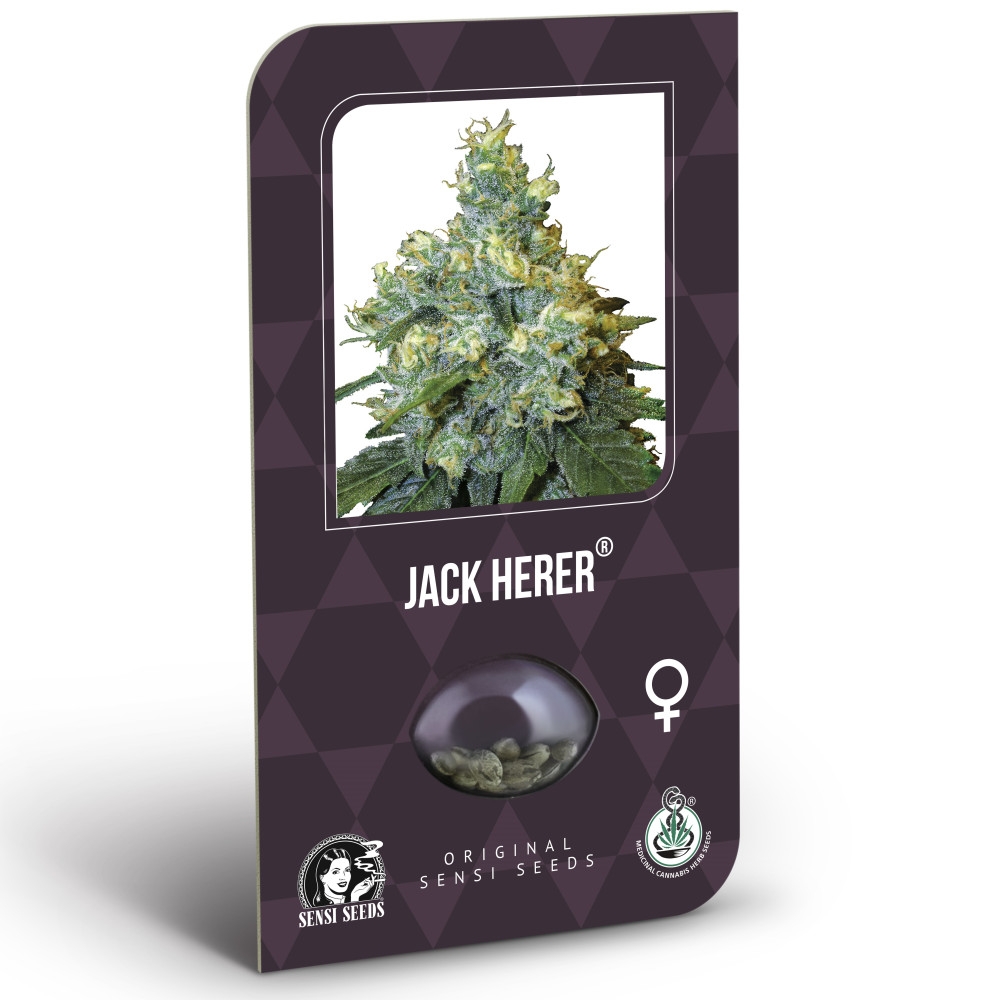 Jack Herer Feminisiert (Classic Redux Serie) - 5 Samen