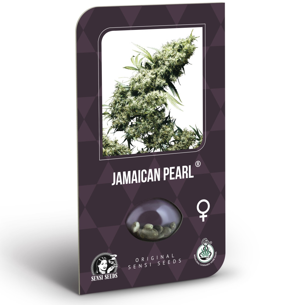 Jamaican Pearl Feminisiert (Classic Redux Serie) - 10 Samen