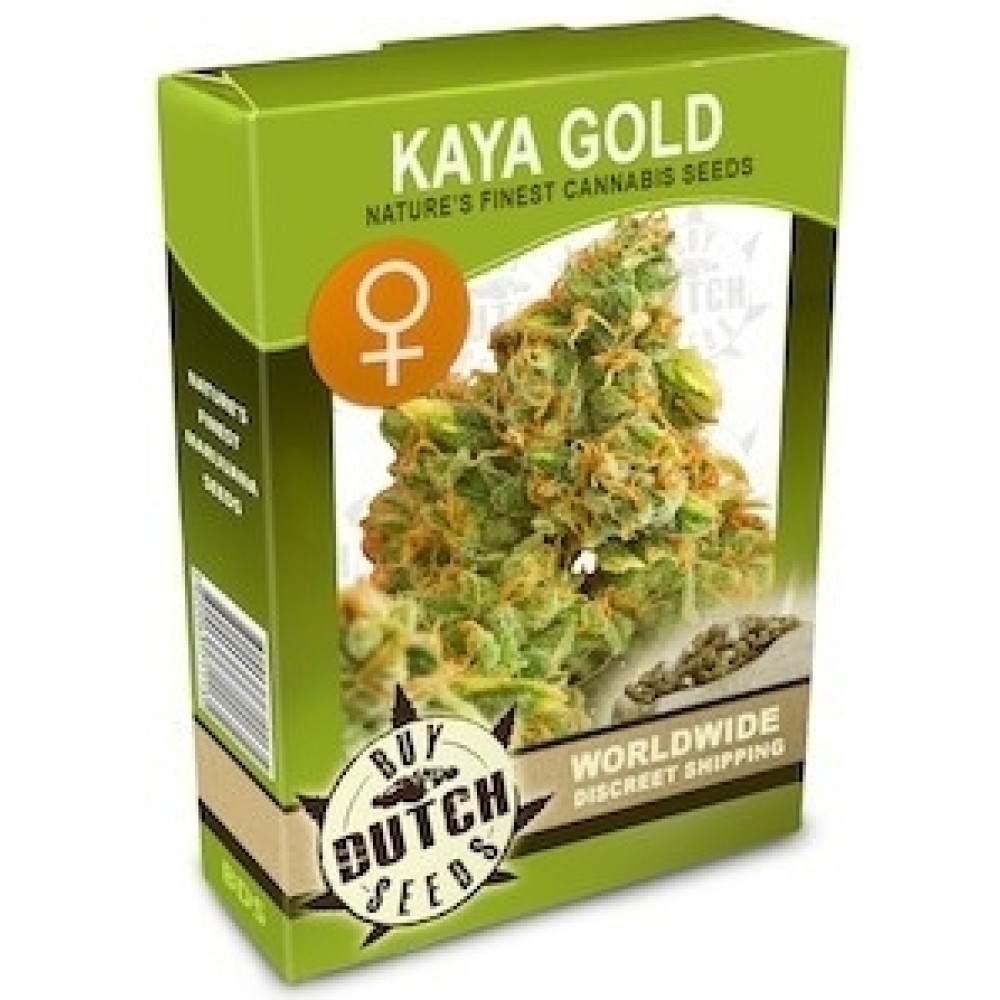 Kaya Gold Feminisiert - 5 Samen