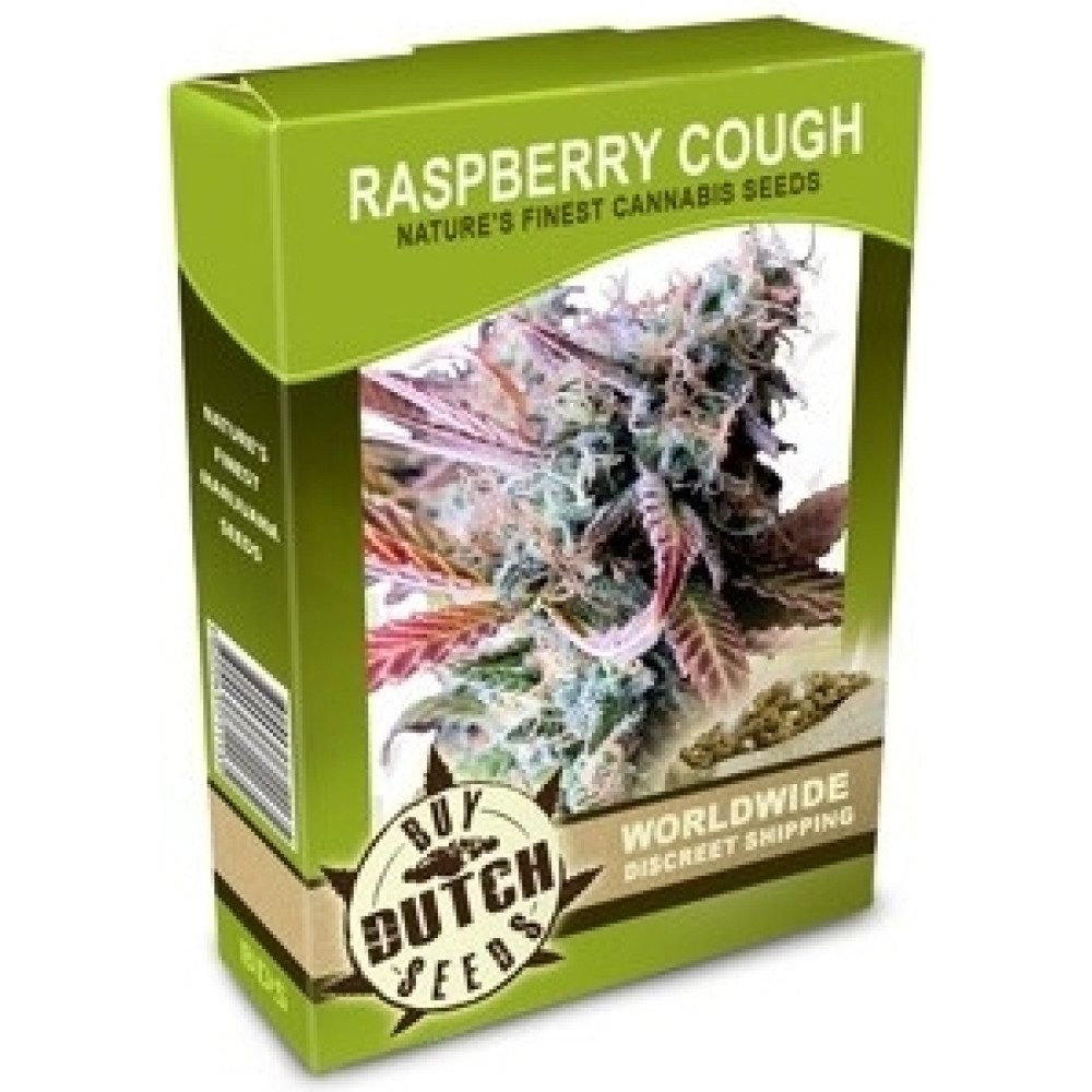 Raspberry Cough - 10 Samen