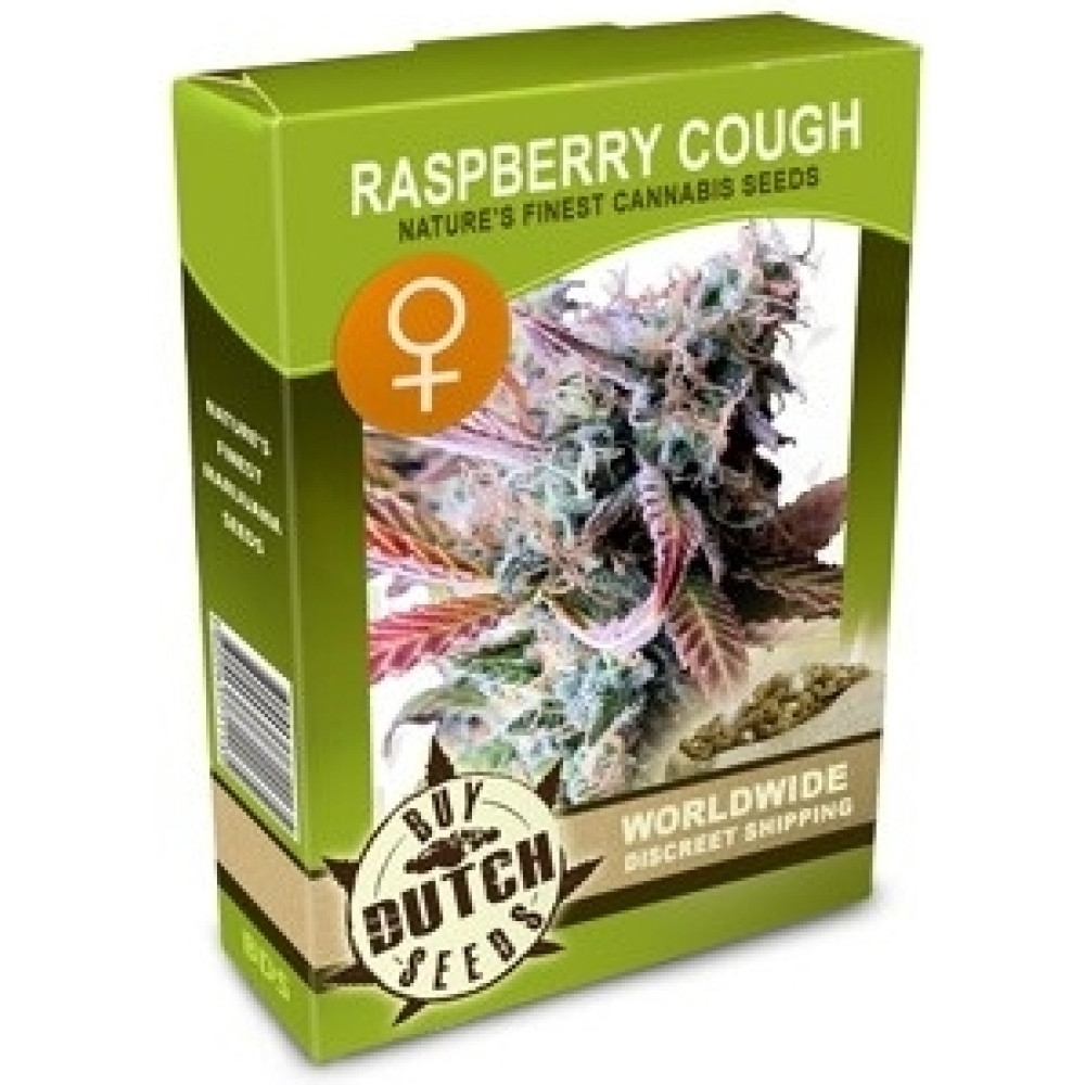 Raspberry Cough Feminisiert - 5 Samen
