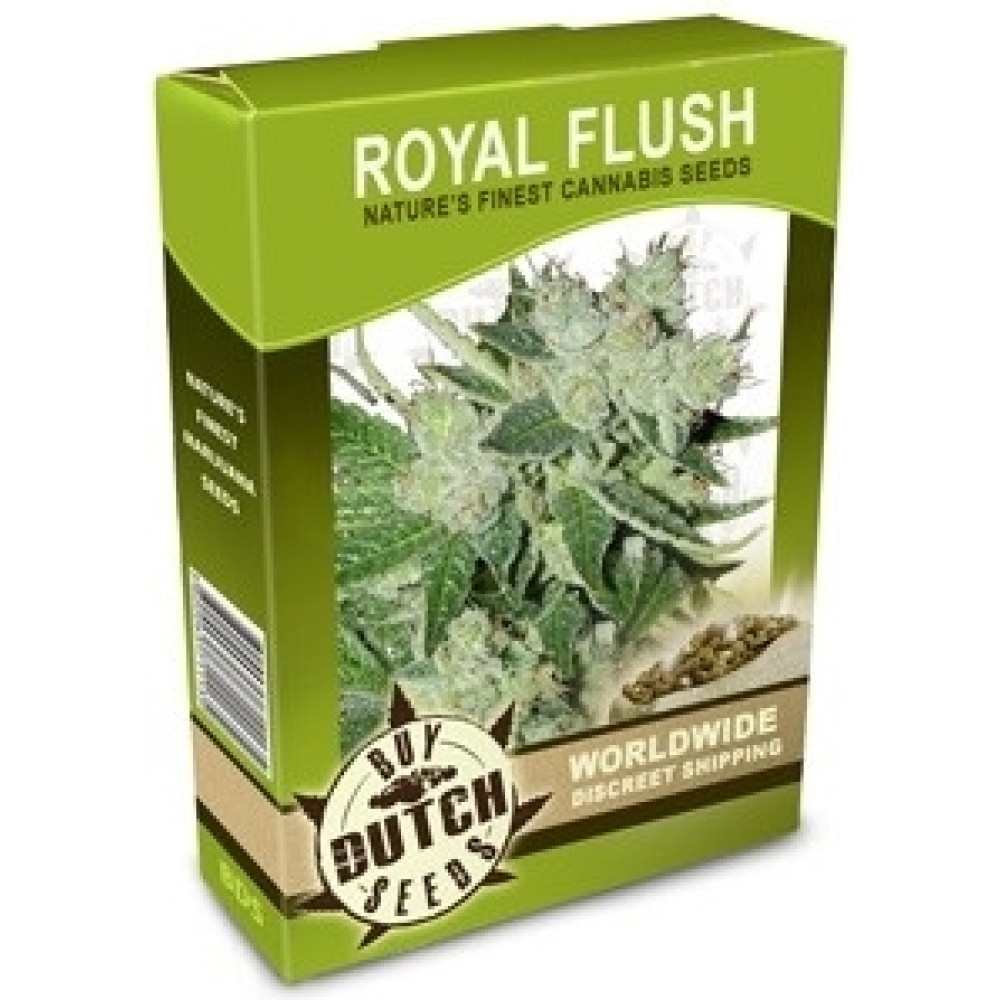 Royal Flush - 10 Samen