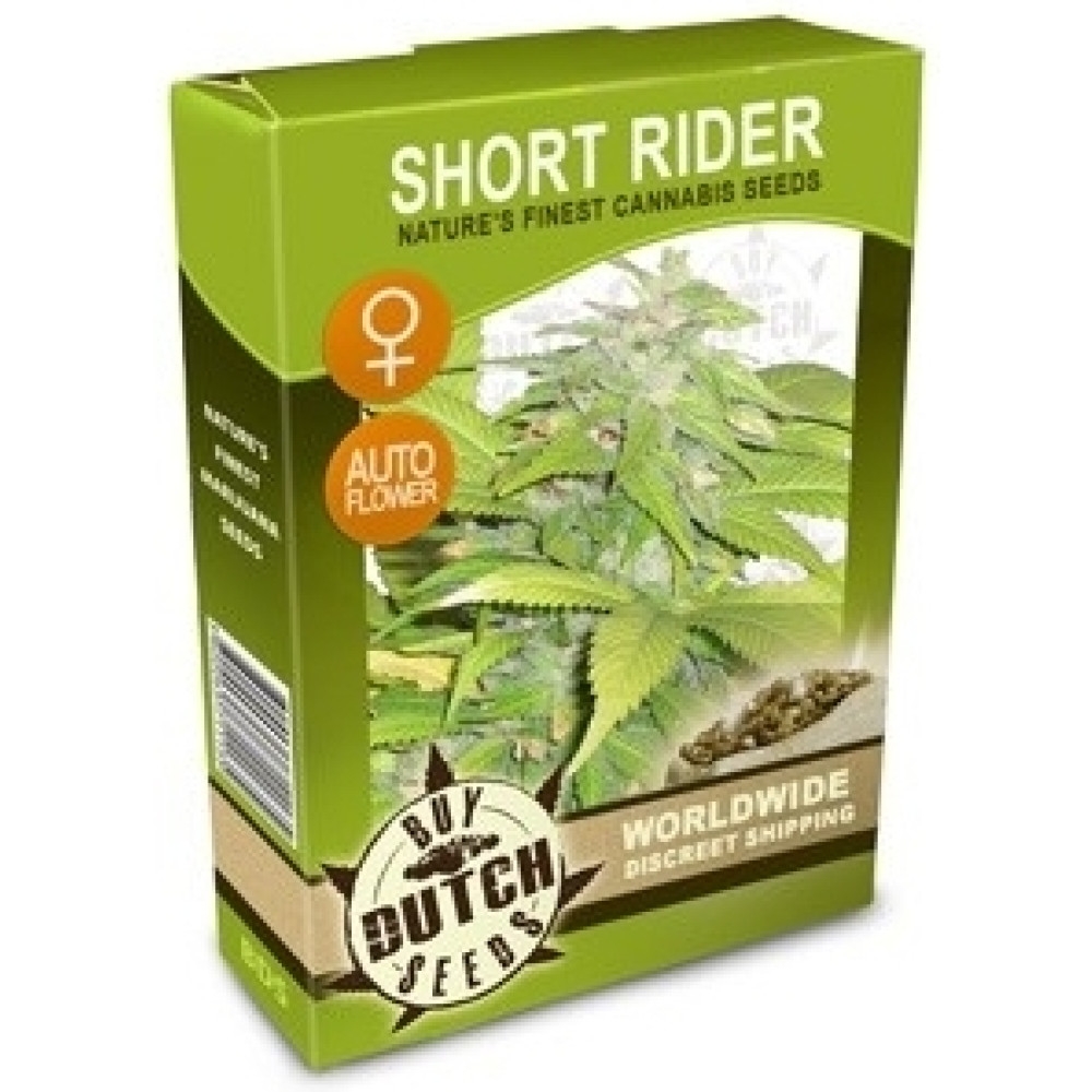 Short Rider Feminisiert Autoflowering - 5 Samen