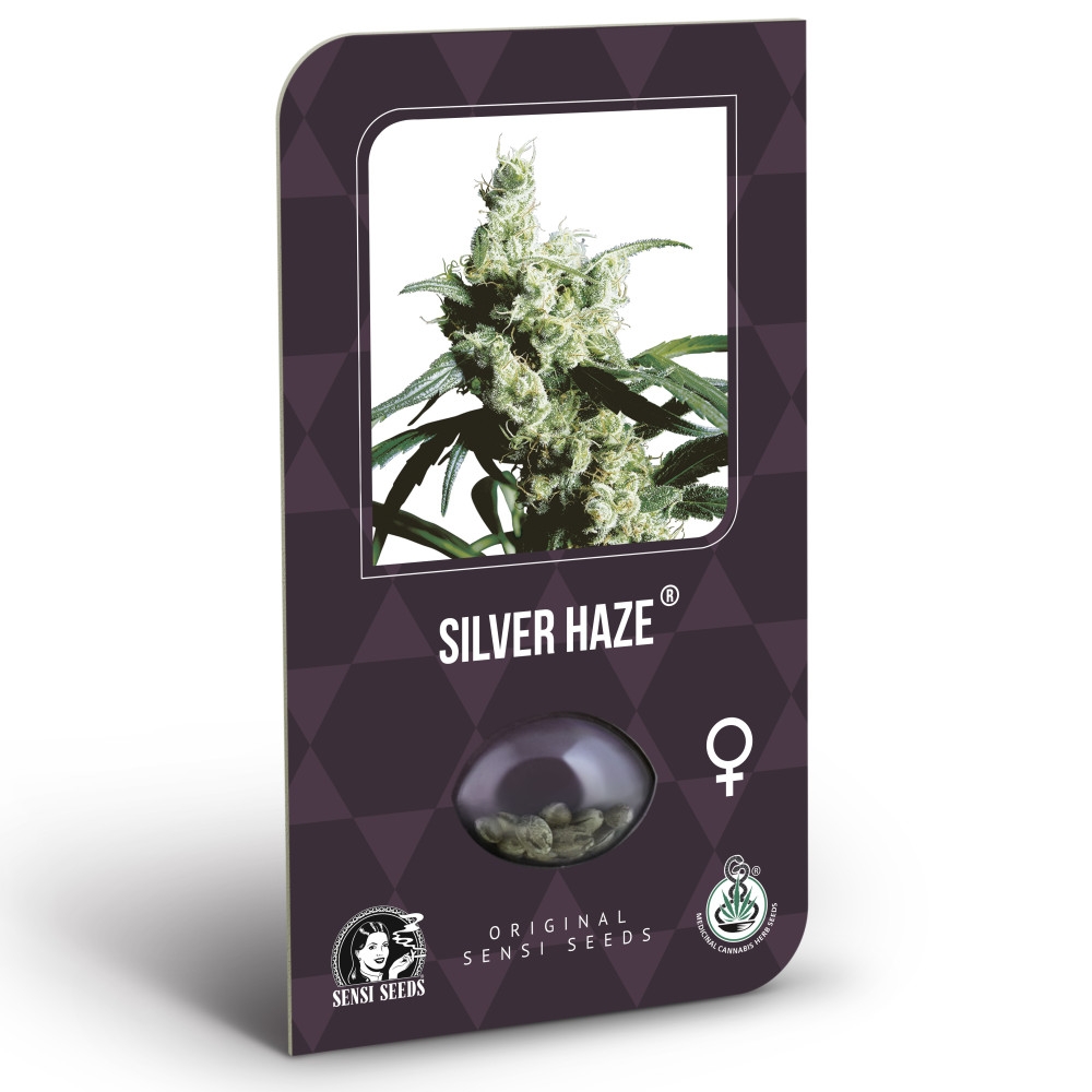 Silver Haze Feminisiert Classic Redux Serie