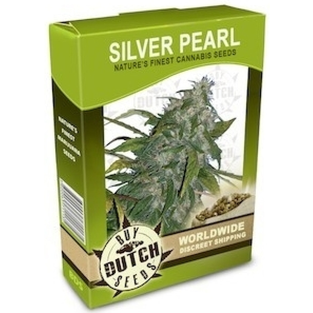 Silver Pearl - 10 Samen