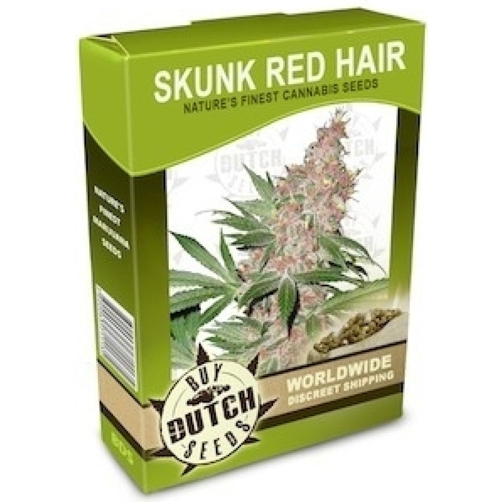 Skunk Red Hair - 10 Samen