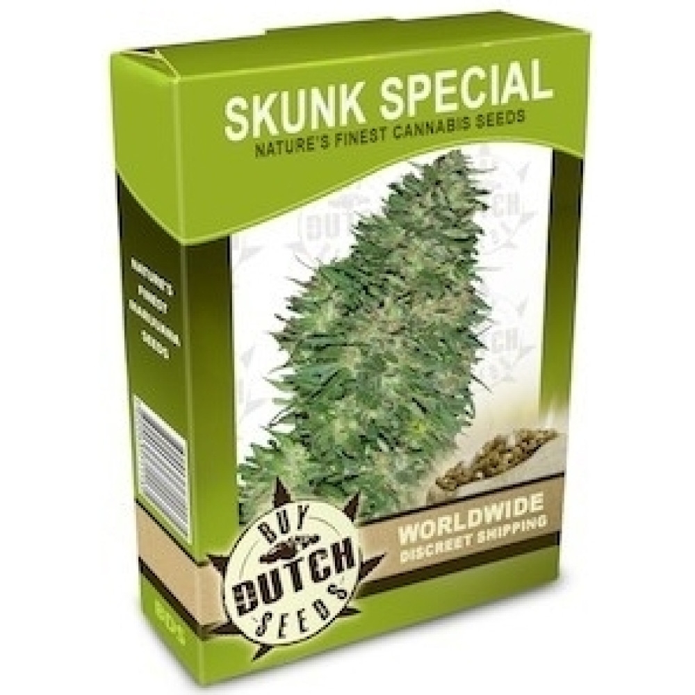 Skunk Special - 10 Samen