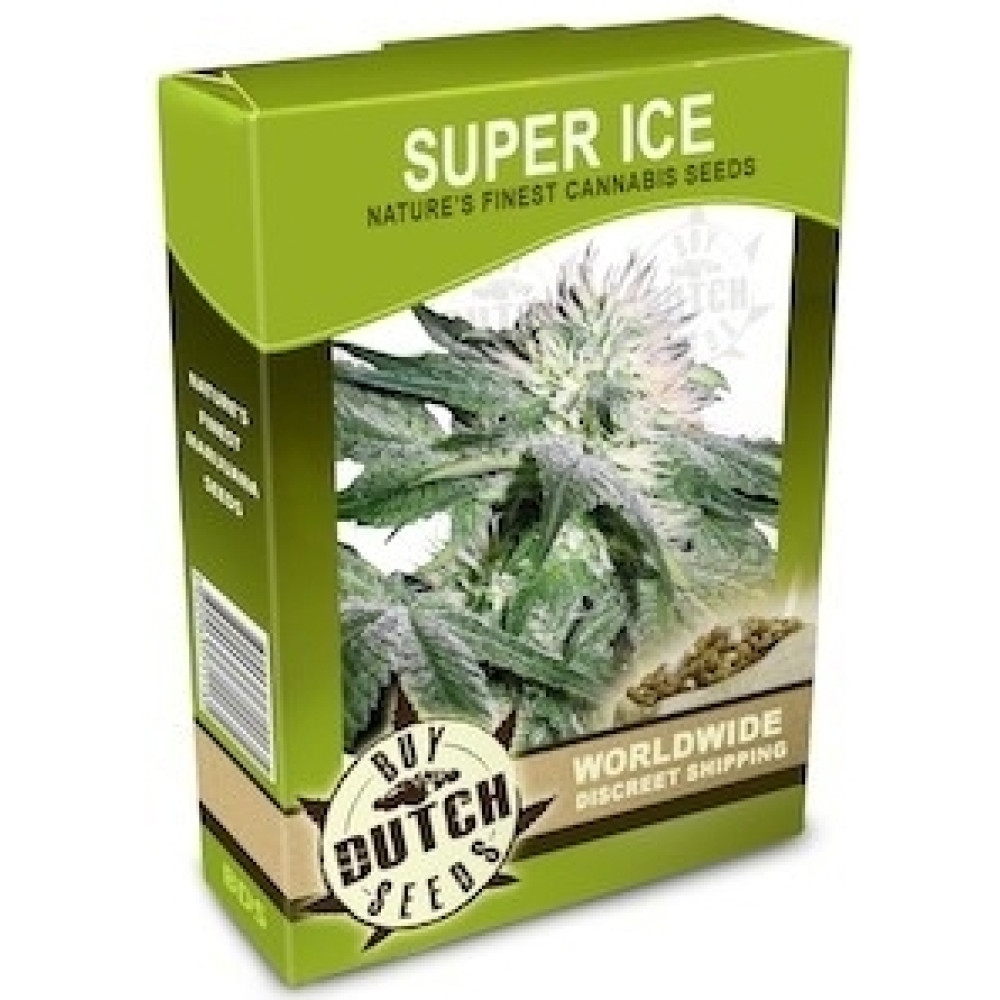 Super Ice - 10 Samen