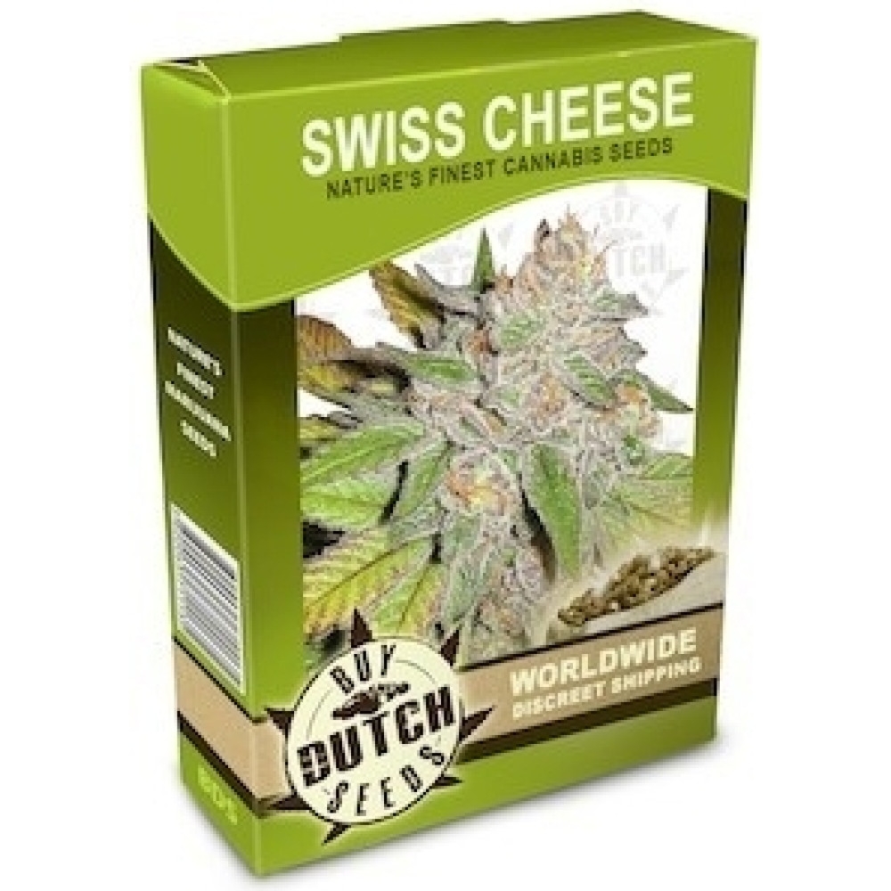 Swiss Cheese - 10 Samen