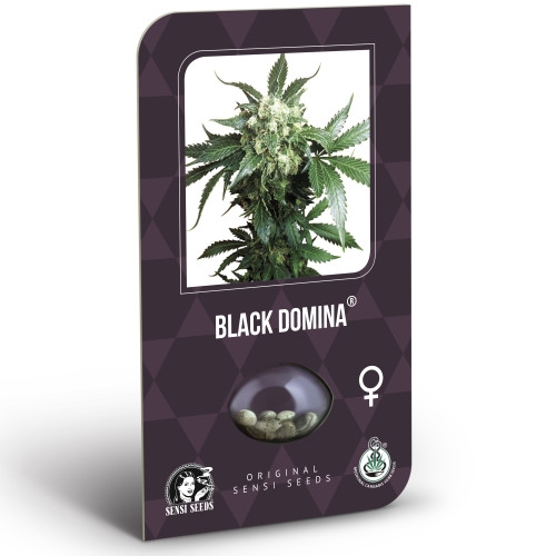 Black Domina Feminisiert Classic Redux Serie