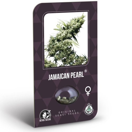 Jamaican Pearl Feminisiert Classic Redux Serie