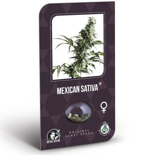 Mexican Sativa Feminisiert Classic Redux Serie