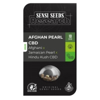 Afghan Pearl CBD Feminisiert (Auto) - 1 Samen