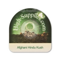 Afghani Hindu Kush Feminisiert - 5 Samen