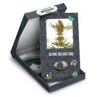 Alpine Delight CBD Feminisiert (Auto) - 10 Samen