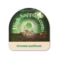 Amnesia Automatic - 5 Samen