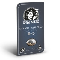 Banana Kush Cake Feminisiert (Auto) - 5 Samen