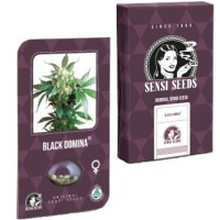 Black Domina Feminisiert (Classic Redux Serie) - 10 Samen