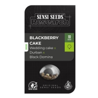 Blackberry Cake Feminisiert - 1 Samen