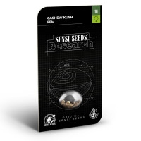 Cashew Kush Feminisiert - 10 Samen