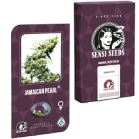 Jamaican Pearl Feminisiert (Classic Redux Serie) - 10 Samen