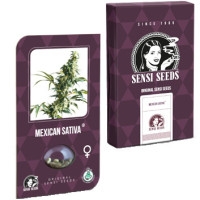 Mexican Sativa Feminisiert (Classic Redux Serie) - 10 Samen