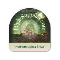 Northern Light x Shiva - 10 Samen
