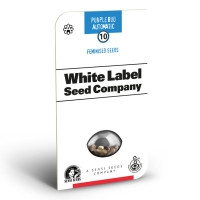 Purple Bud Feminisiert (Auto) White Label - 10 Samen