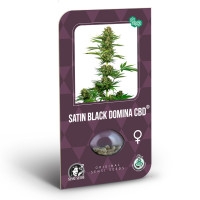 Satin Black Domina CBD Feminisiert - 1 Samen