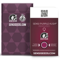 Sensi Purple Kush Feminisiert - 1 Samen