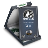 Sensi Skunk Automatic - 10 Samen