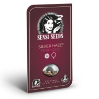 Silver Haze #9 Feminisiert - 10 Samen