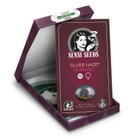 Silver Haze #9 Feminisiert - 3 Samen