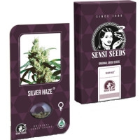 Silver Haze Feminisiert (Classic Redux Serie) - 10 Samen