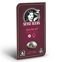 Skunk #1 Feminisiert - 10 Samen