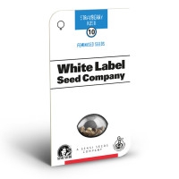 Strawberry Kush Feminisiert (White Label) - 1 Samen