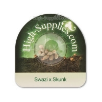 Swazi x Skunk - 10 Samen