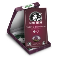 Sweet Cherry Kush Feminisiert - 1 Samen