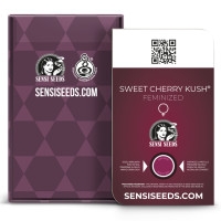 Sweet Cherry Kush Feminisiert - 1 Samen