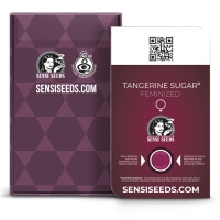 Tangerine Sugar Feminisiert - 1 Samen