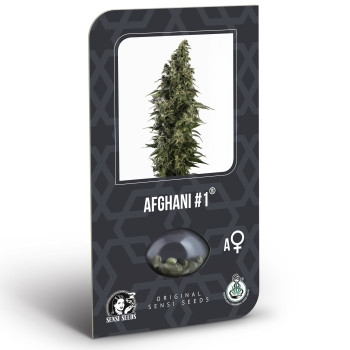 Afghani #1 Feminisiert (auto) Classic Redux Serie